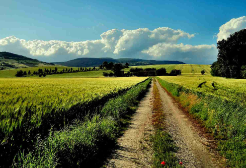 1715581406195521.png image.png