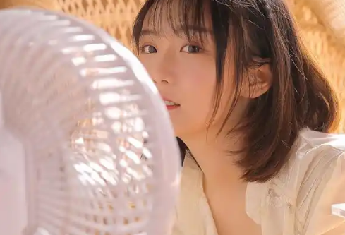 1766511010497239.png image.png