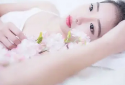 ​关于马年的成语62句