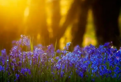 ​一直造句大全84句