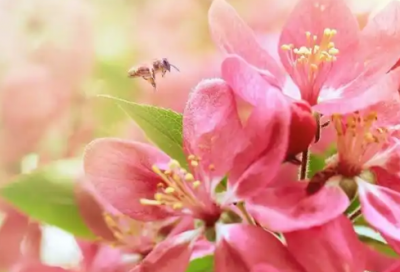 ​每的造句119句