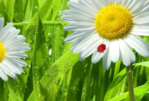 1767467960684254.png image.png