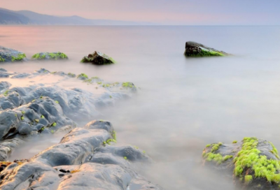 ​然而造句100句