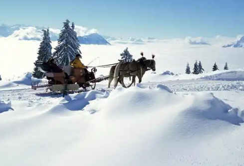 1767469948858036.png image.png