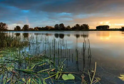 ​念念不忘造句大全85句