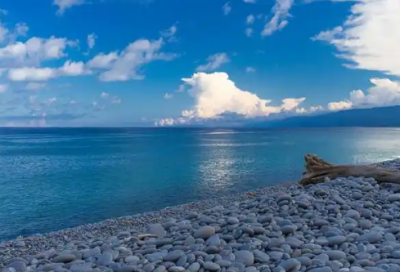 ​得意忘形造句85句