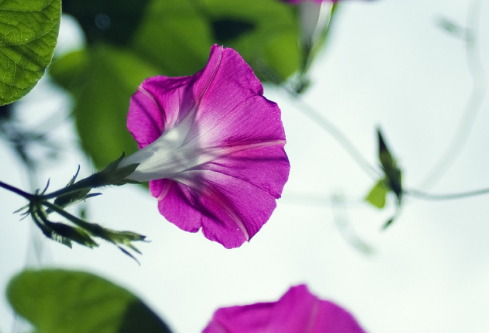 1767472101853662.png image.png