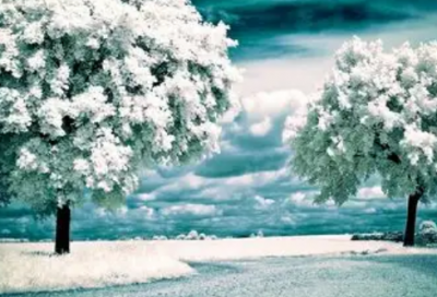 ​只有才造句90句