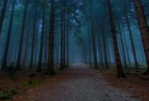 1767474916990332.png image.png