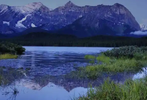 1767477730138928.png image.png