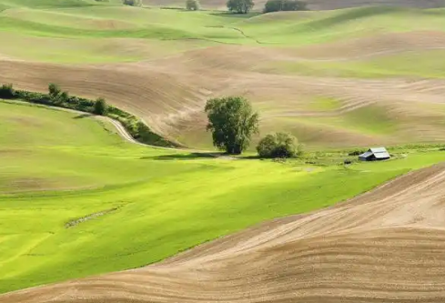 1767478062357362.png image.png