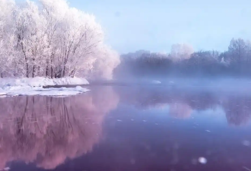 1767478227250343.png image.png