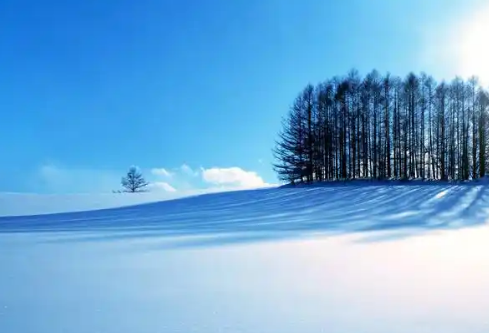 1767479883714810.png image.png