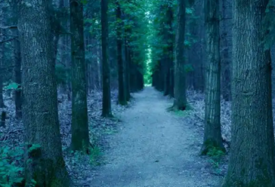 ​用有了造句63句