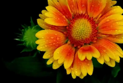 ​造句解释71句