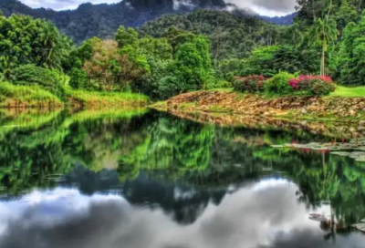 ​用只有才造句89句