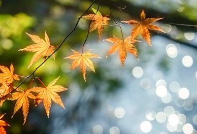 ​与大自然有关的谚语77句