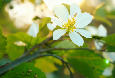 ​形容激烈拼搏的谚语65句