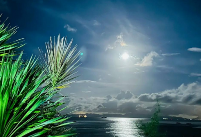 ​善学勤思有关谚语72句