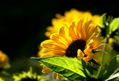 ​关于消防谚语63句