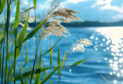 ​一句关于天气的谚语74句