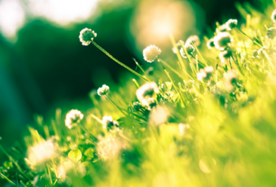 ​有关气象的谚语66句