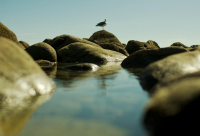 ​生活谚语大全短的73句