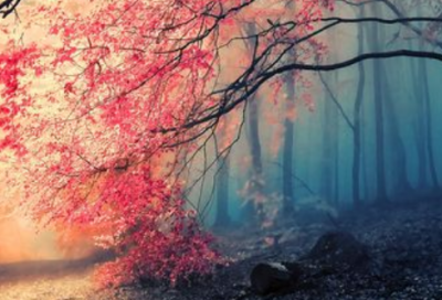 ​农业或气象的谚语73句