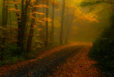 ​关于进取心的谚语66句