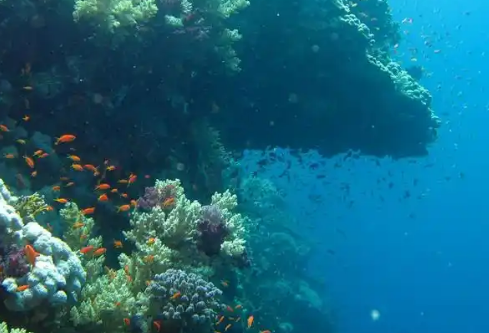 1768206152793307.png image.png