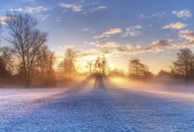 ​关于集体的谚语66句