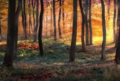 ​有积累才有知识的谚语67句