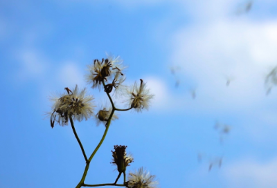 ​谚语告诫66句