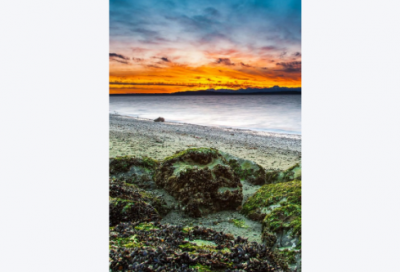 ​惜时谚语64句