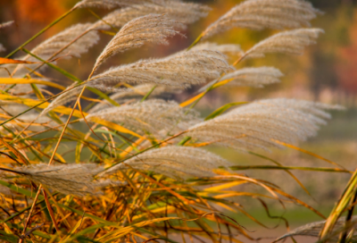 ​英语谚语10字62句