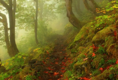 ​农时或气象的谚语66句