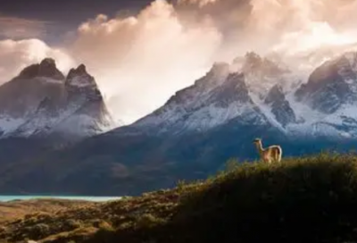 ​描写春天的谚语63句