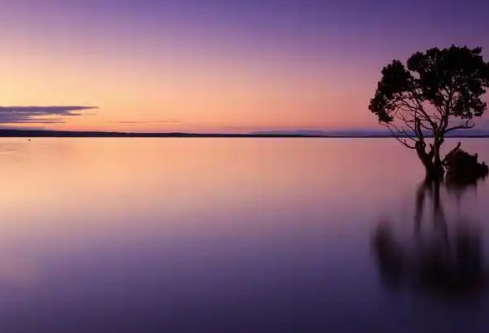 1768214929333368.png image.png