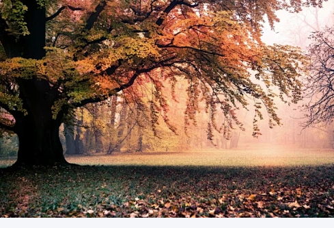 1768216419300069.png image.png