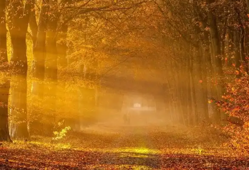 1768216750750528.png image.png