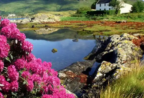 1768217081767813.png image.png