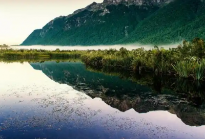 ​关于生活经验的谚语65句