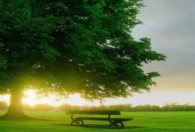 ​尽力的谚语66句