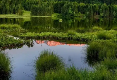 ​坚毅谚语英文