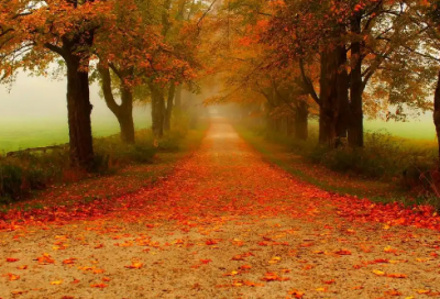 ​劝说别人的谚语66句