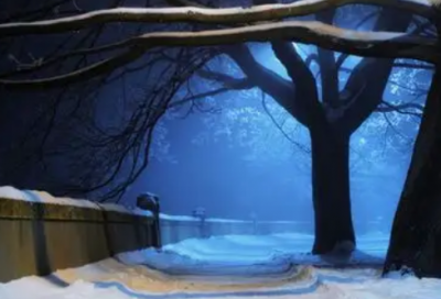 ​生活中的谚语都有哪些66句