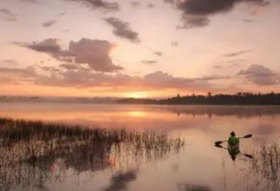 ​礼仪常识的谚语68句