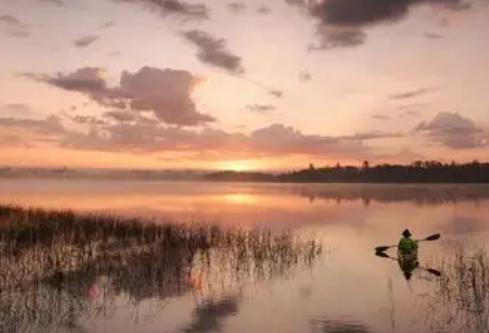 1768223373699857.png image.png