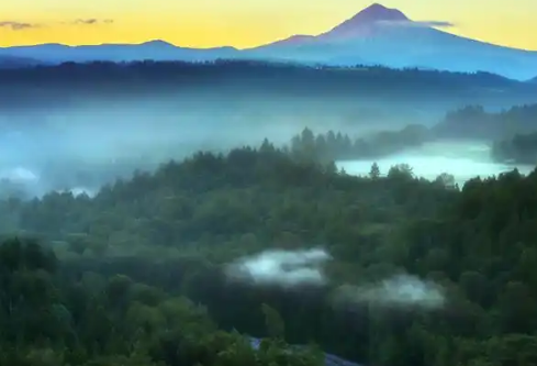 1768223870343383.png image.png