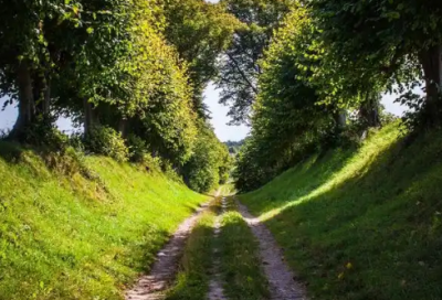 ​有关清明节的谚语66句